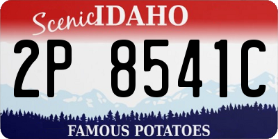 ID license plate 2P8541C