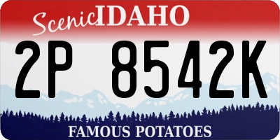 ID license plate 2P8542K