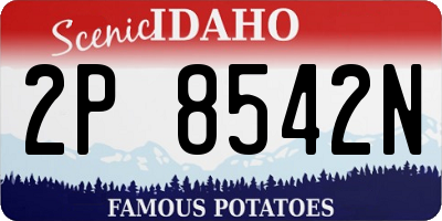 ID license plate 2P8542N
