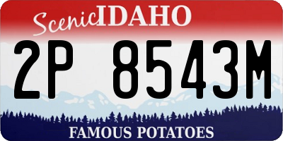 ID license plate 2P8543M