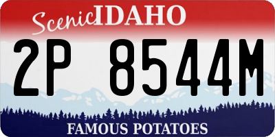 ID license plate 2P8544M