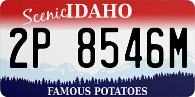 ID license plate 2P8546M