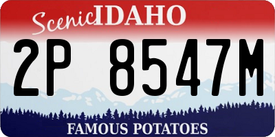 ID license plate 2P8547M