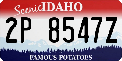 ID license plate 2P8547Z
