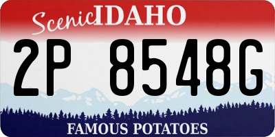 ID license plate 2P8548G
