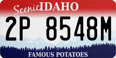 ID license plate 2P8548M