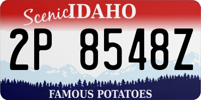 ID license plate 2P8548Z