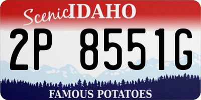 ID license plate 2P8551G