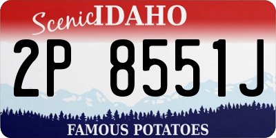 ID license plate 2P8551J