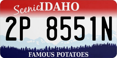 ID license plate 2P8551N