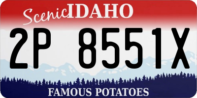 ID license plate 2P8551X