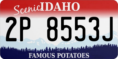 ID license plate 2P8553J