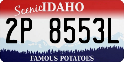 ID license plate 2P8553L
