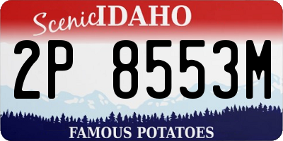 ID license plate 2P8553M