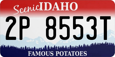 ID license plate 2P8553T