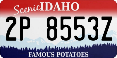 ID license plate 2P8553Z
