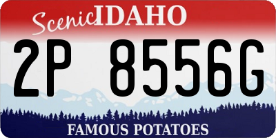 ID license plate 2P8556G
