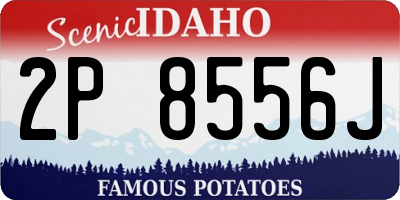 ID license plate 2P8556J