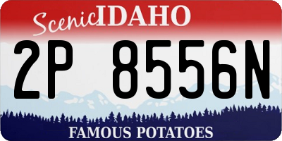 ID license plate 2P8556N