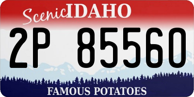 ID license plate 2P8556O