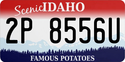 ID license plate 2P8556U