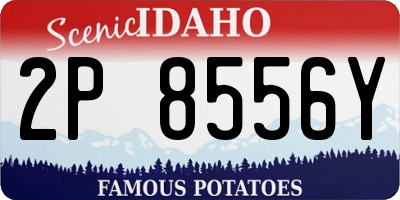 ID license plate 2P8556Y