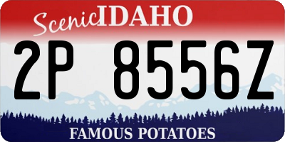 ID license plate 2P8556Z