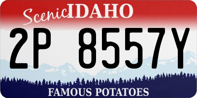 ID license plate 2P8557Y