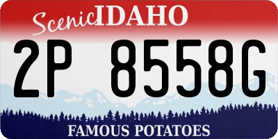 ID license plate 2P8558G