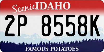 ID license plate 2P8558K
