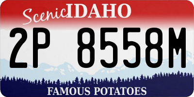 ID license plate 2P8558M