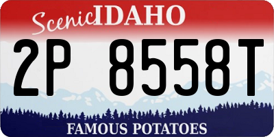 ID license plate 2P8558T