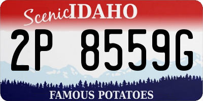 ID license plate 2P8559G