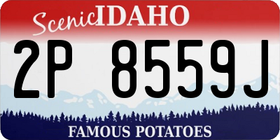 ID license plate 2P8559J