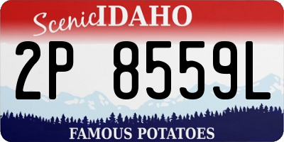 ID license plate 2P8559L