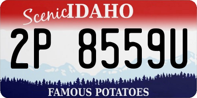 ID license plate 2P8559U