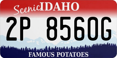 ID license plate 2P8560G