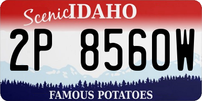 ID license plate 2P8560W
