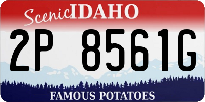 ID license plate 2P8561G