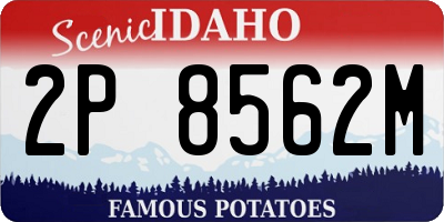 ID license plate 2P8562M