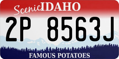 ID license plate 2P8563J