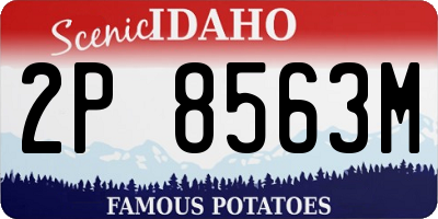 ID license plate 2P8563M