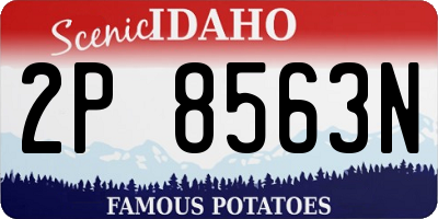 ID license plate 2P8563N
