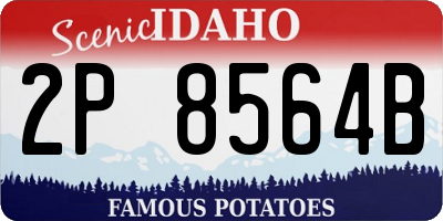 ID license plate 2P8564B