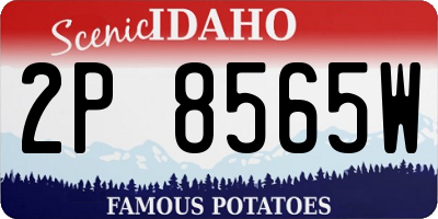 ID license plate 2P8565W