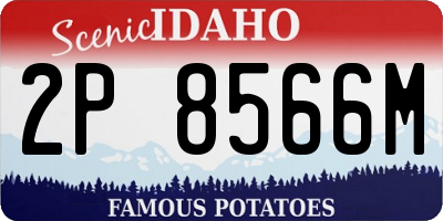 ID license plate 2P8566M