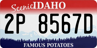 ID license plate 2P8567D