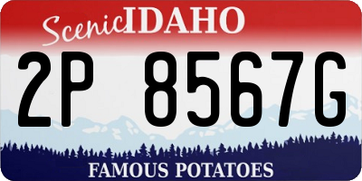 ID license plate 2P8567G