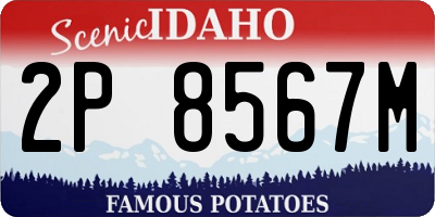 ID license plate 2P8567M
