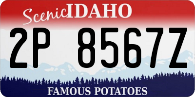 ID license plate 2P8567Z
